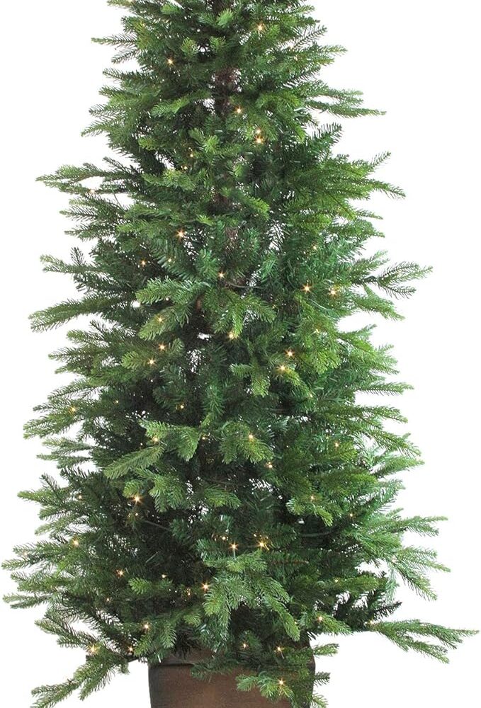 Real Touch™ Pre-Lit Potted Oregon Noble Fir Slim Artificial Christmas Tree - 6' - Warm White LED Lights